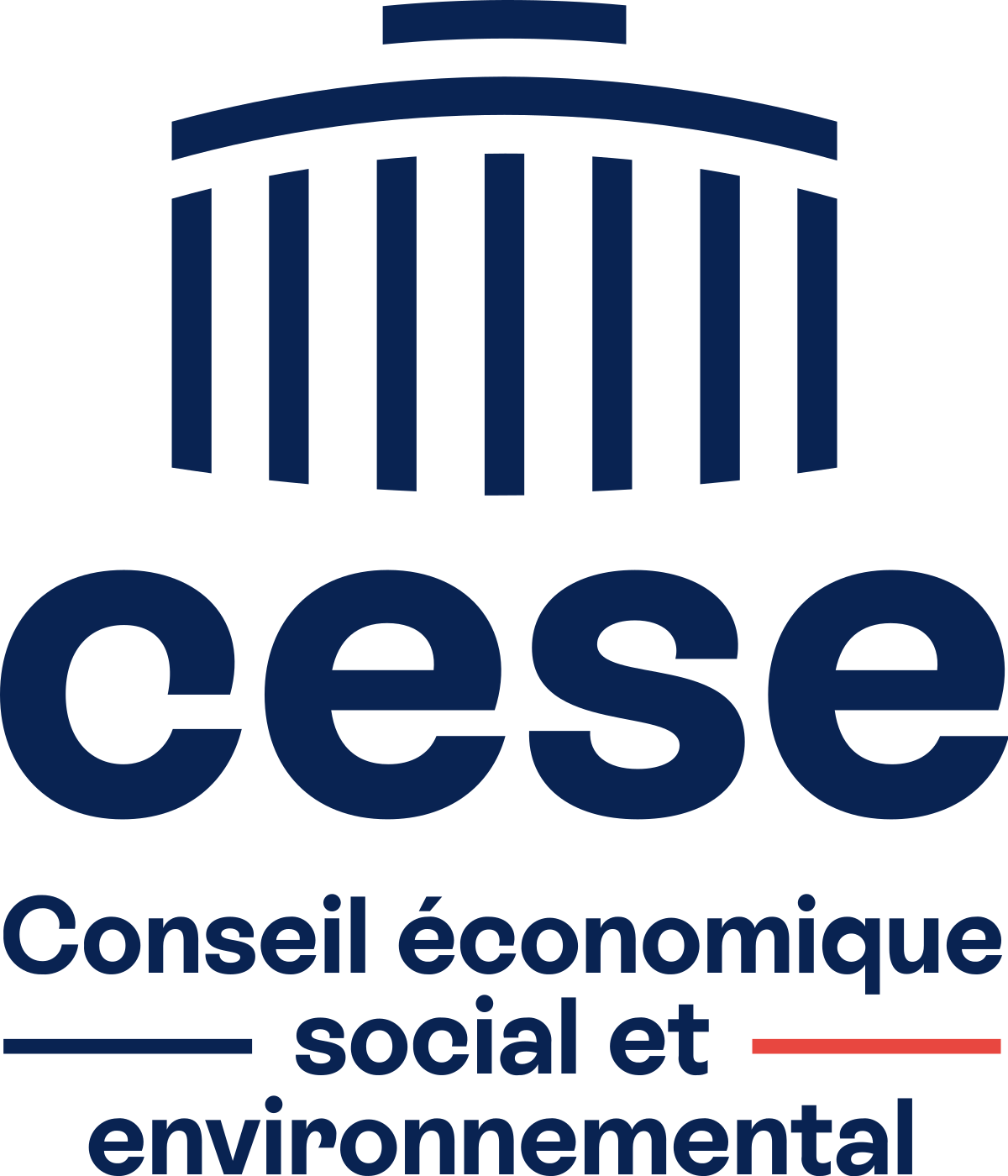 Conseil économique social et environnemental